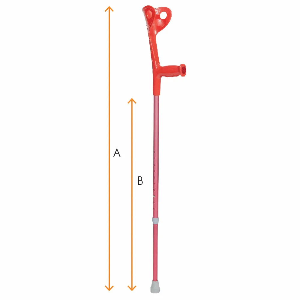 Βακτηρία Αγκώνος Φούξια