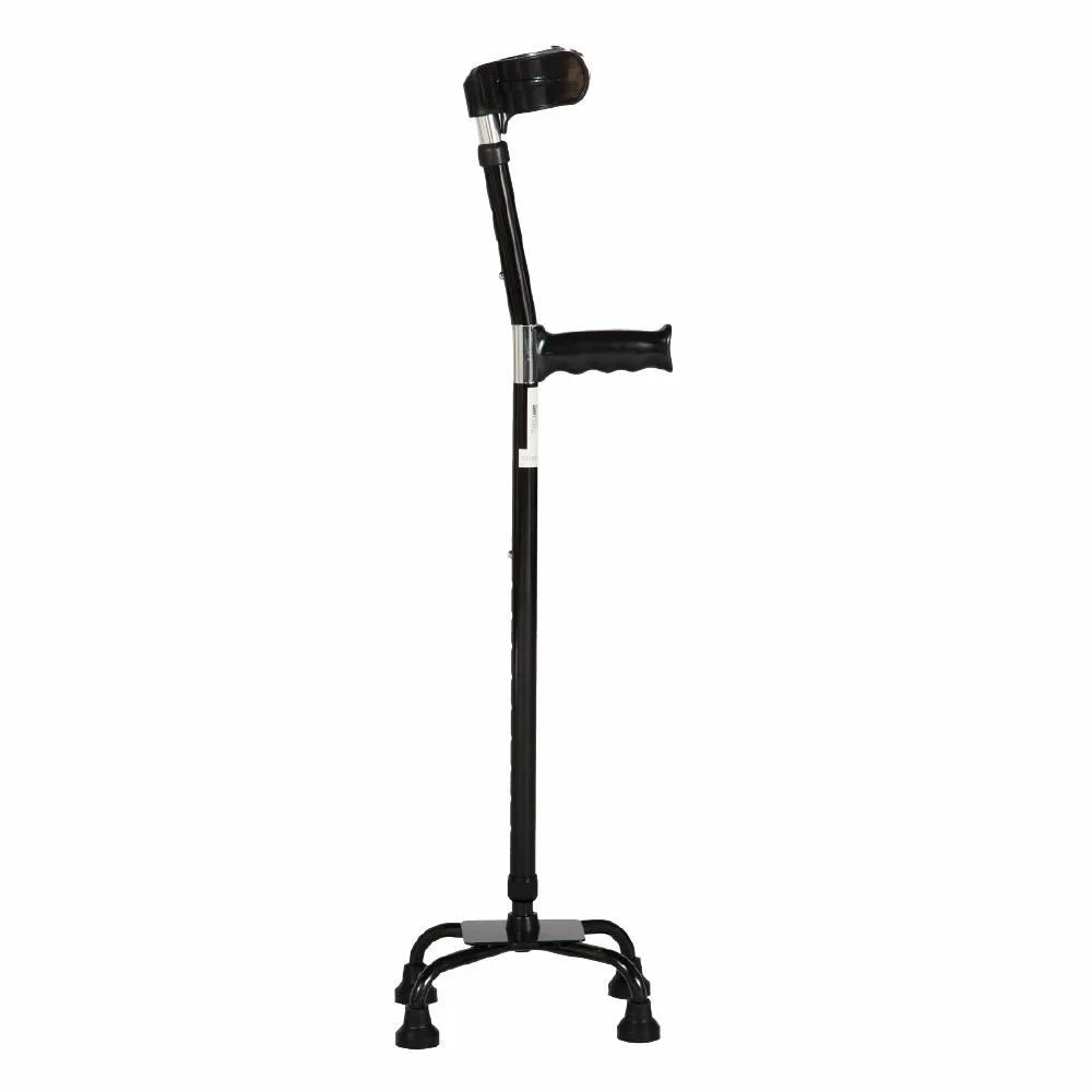 Βακτηρία Τετράποδη