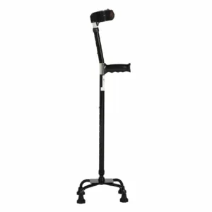 Βακτηρία Τετράποδη