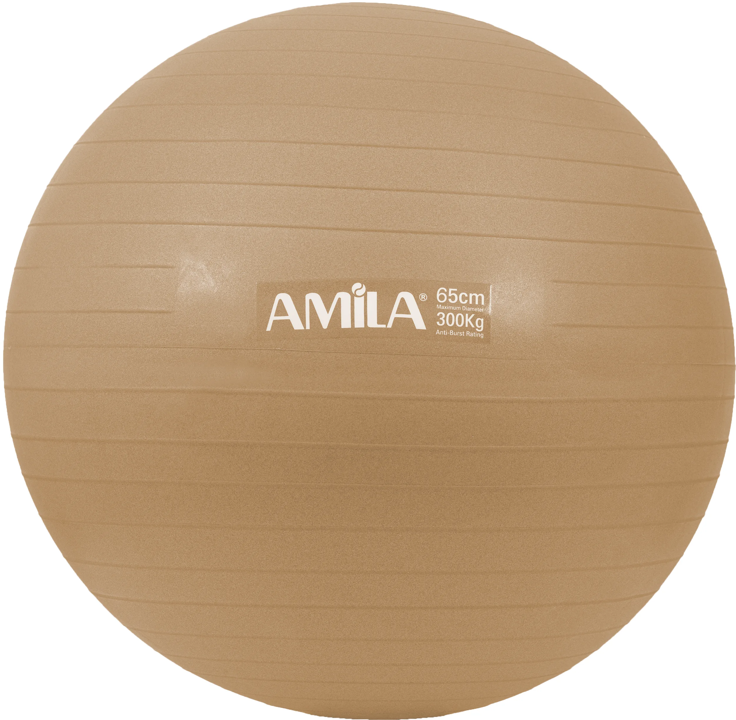 Μπάλα Γυμναστικής AMILA GYMBALL 65cm