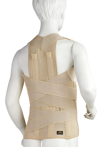 Ζώνη Οσφύος Τύπου TAYLOR Θ.Ο.Μ.Σ.Σ.