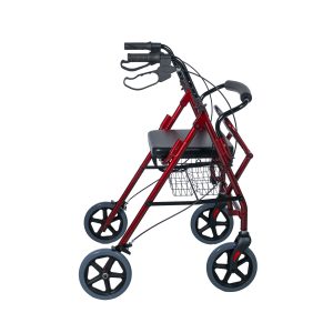 Τροχήλατος Περιπατητήρας CHERRY 2 ΣΕ 1