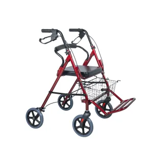 Τροχήλατος Περιπατητήρας CHERRY 2 ΣΕ 1